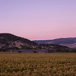Vue du vignoble de Napanook - Napa Valley - Californie - Dominus Estate - Maison Emmanuel Giraud